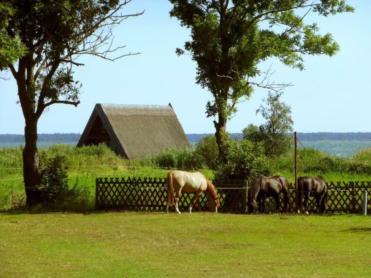 Steinbock-Ferienwohnungen Kölpinsee Zewnętrze zdjęcie