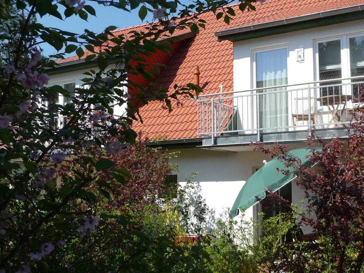 Steinbock-Ferienwohnungen Kölpinsee Zewnętrze zdjęcie