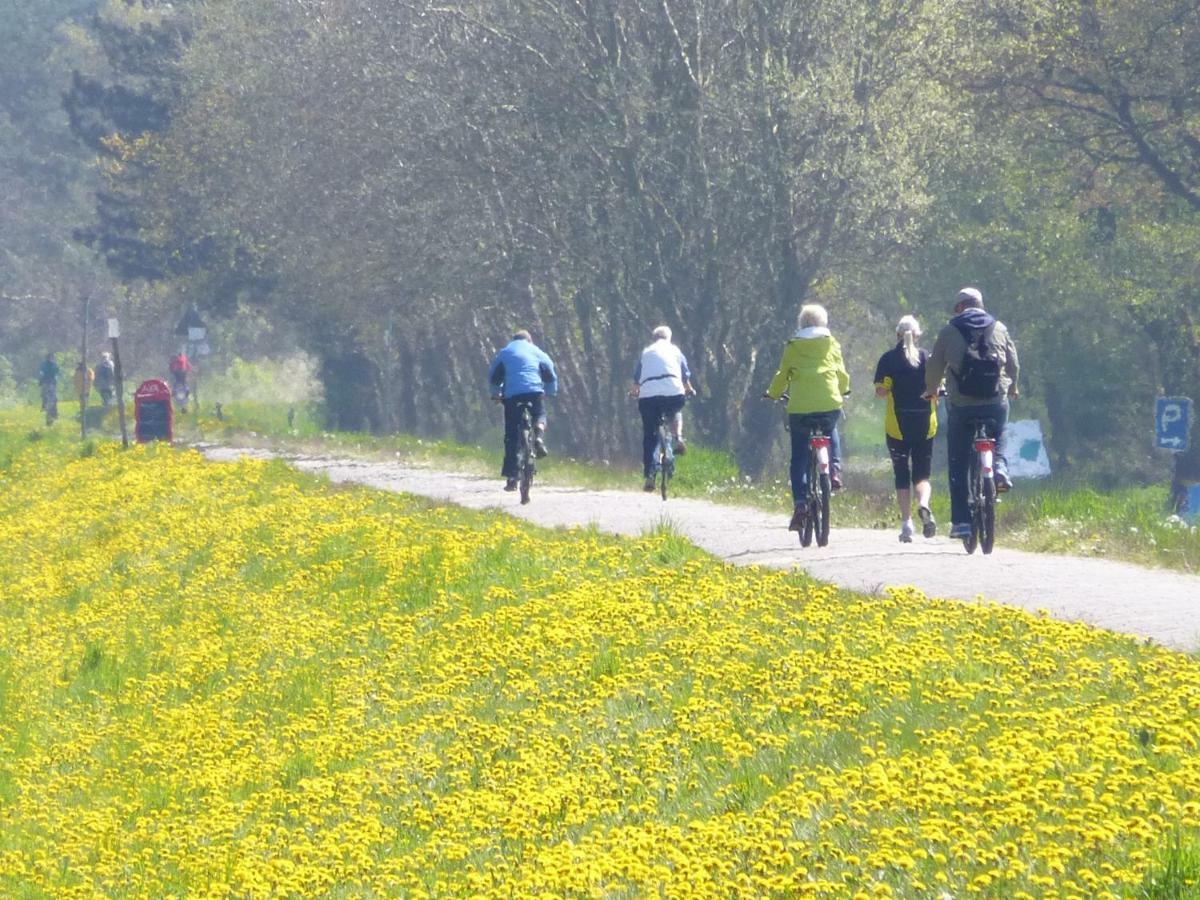 Steinbock-Ferienwohnungen Kölpinsee Zewnętrze zdjęcie